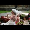 wedding 16.jpg