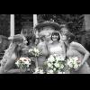 wed bridesmaids .jpg