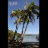 w IMG_0024.jpg