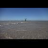 w IMG_0103.jpg