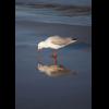 w IMG_0201.jpg