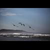 w IMG_1156.jpg