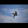 w IMG_1177.jpg