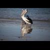 w IMG_1220.jpg