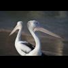 w IMG_1259.jpg