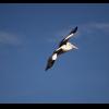 w IMG_1269.jpg