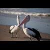 w IMG_1284.jpg