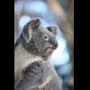 w IMG_2378.jpg