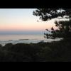 w IMG_1472.jpg