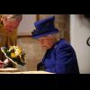 w HRH IMG_8009.jpg