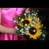web 2 IMG_8993.jpg