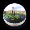 ch ch IMG_1467.jpg
